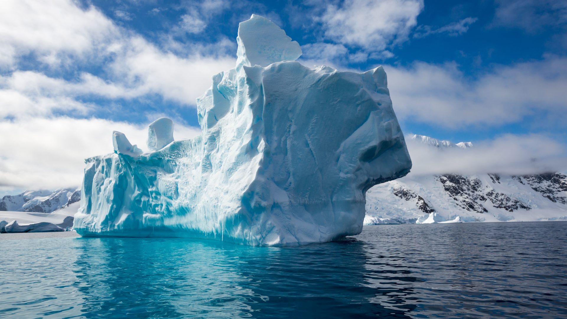 Antarctica: Photos from Earth’s last wilderness