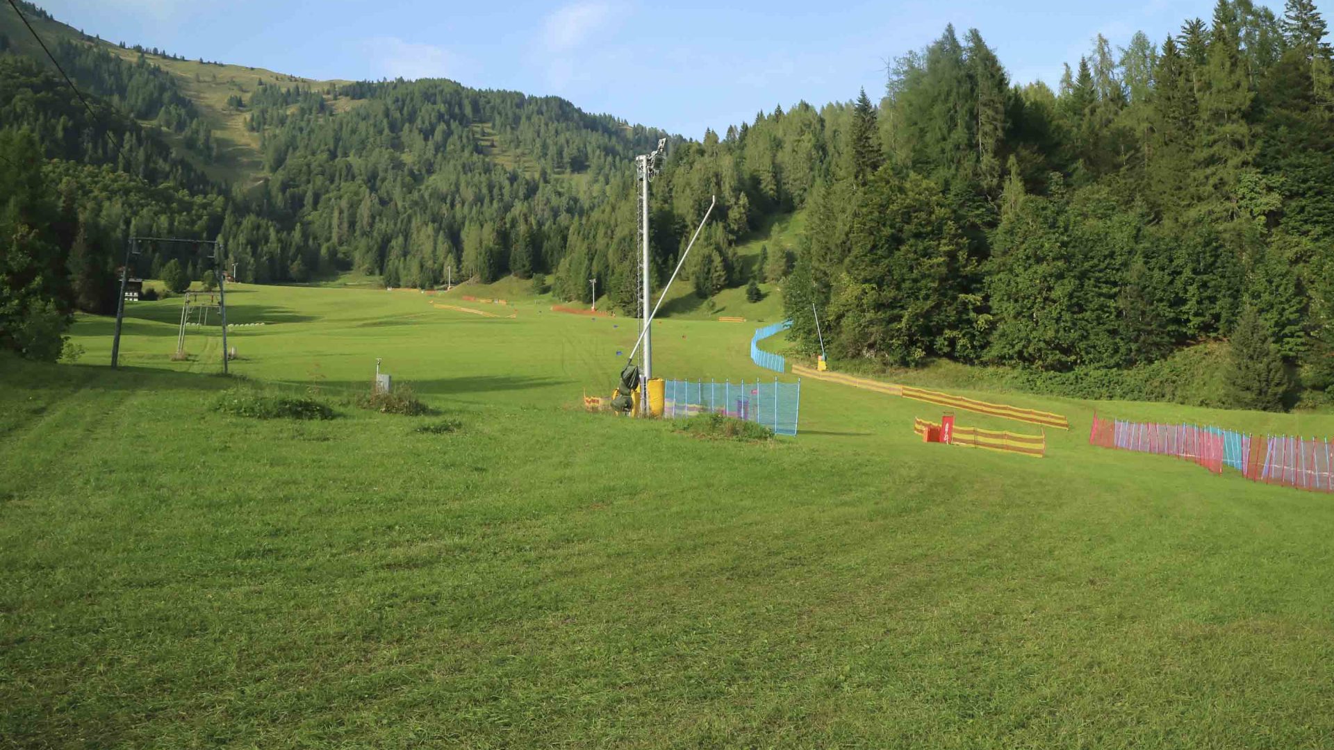 A green grassy slope where grass skiing happens.