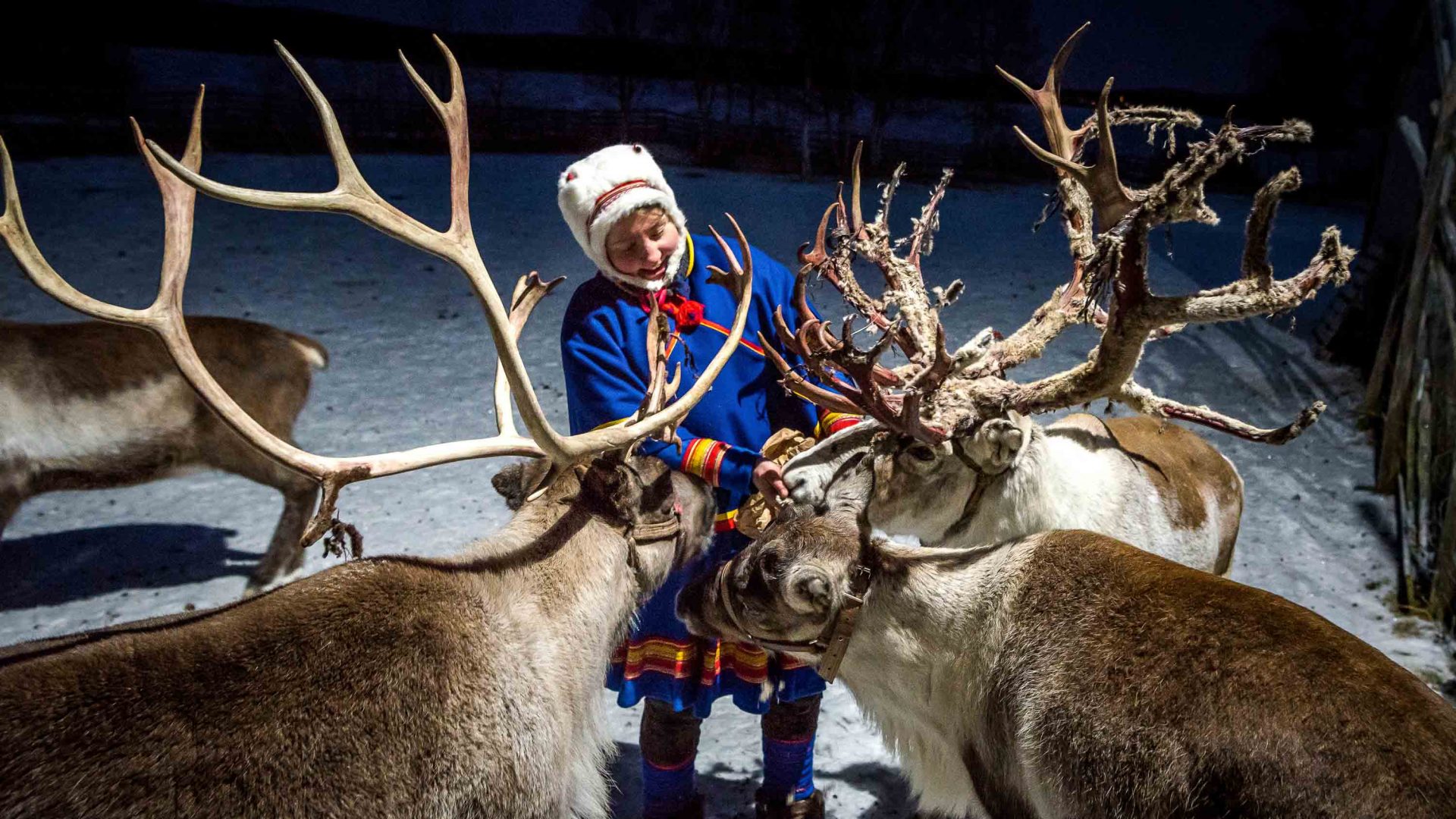 In photos: Life lessons from Sweden’s reindeer herders