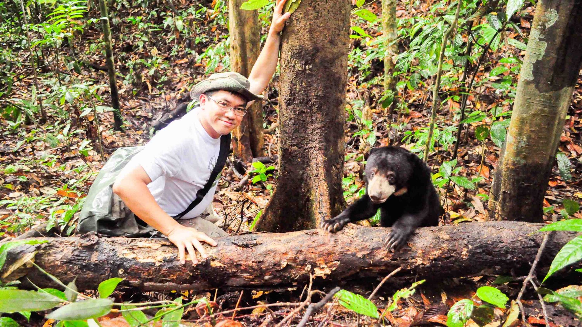 Meet Dr. Wong, the conservationist trying to save the world’s smallest bear