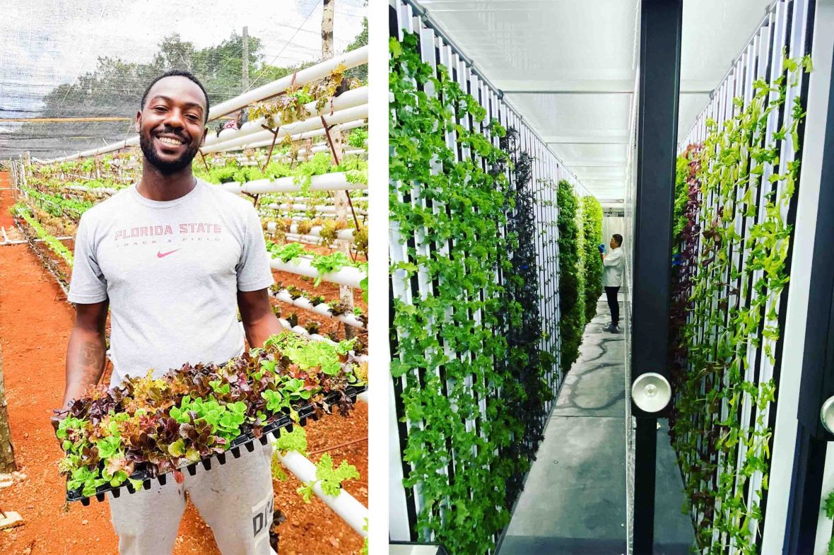 Left: A man holds a tray of plants. Right: A man talks down the vertical gardens of Freight Farm.