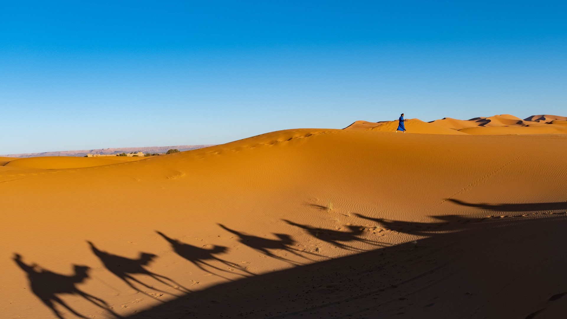 A man walks through the desert while camels are silhouetted on the sand.