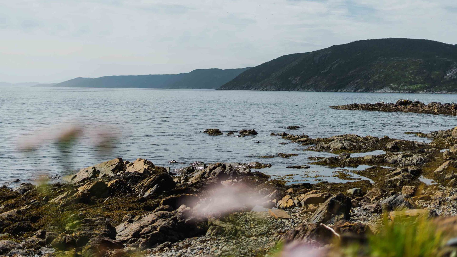 Ghost town no more: How tourism revived a once-decimated Newfoundland fishing community