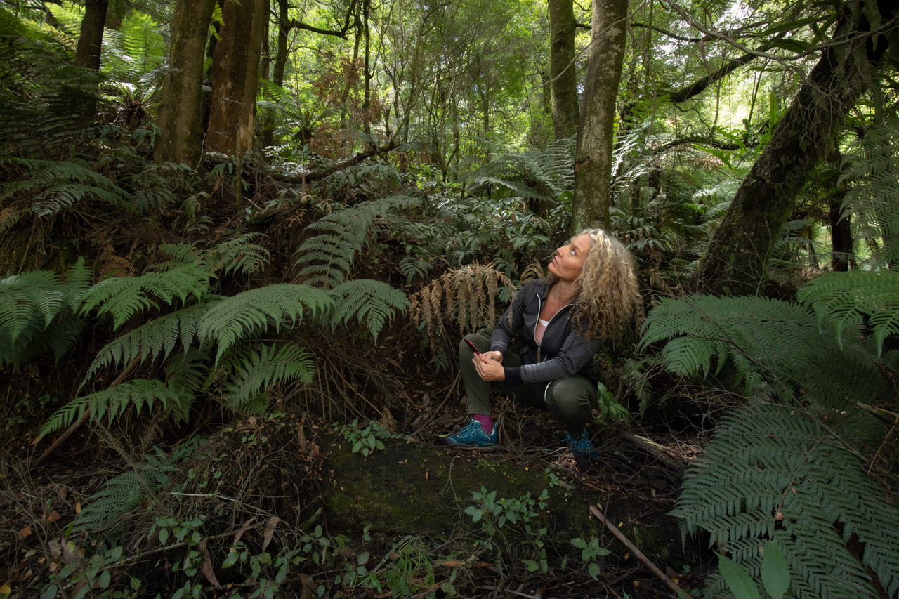 Sarah Rees: How to turn a threatened forest into a National Park