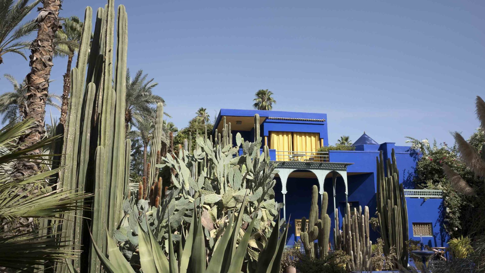 A modern blue Art Deco-style house with cactus and other plants in the foreground.